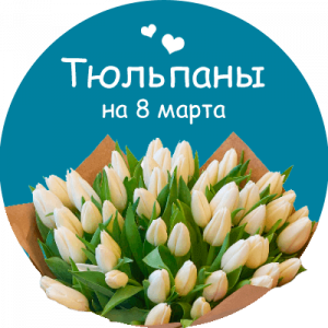 Купить тюльпаны в Севске